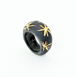 ALCHIBA Black Porcelain Ceramic Ring