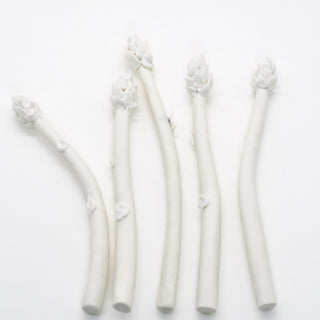 Elegant botanical art piece in fine porcelain – perfect gift for refined taste and discerning collectors